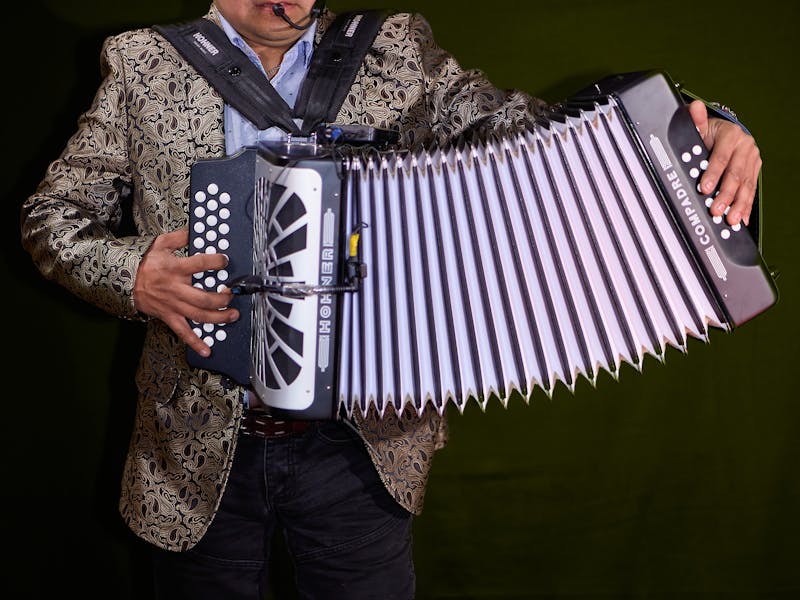 Músicos en vivo
